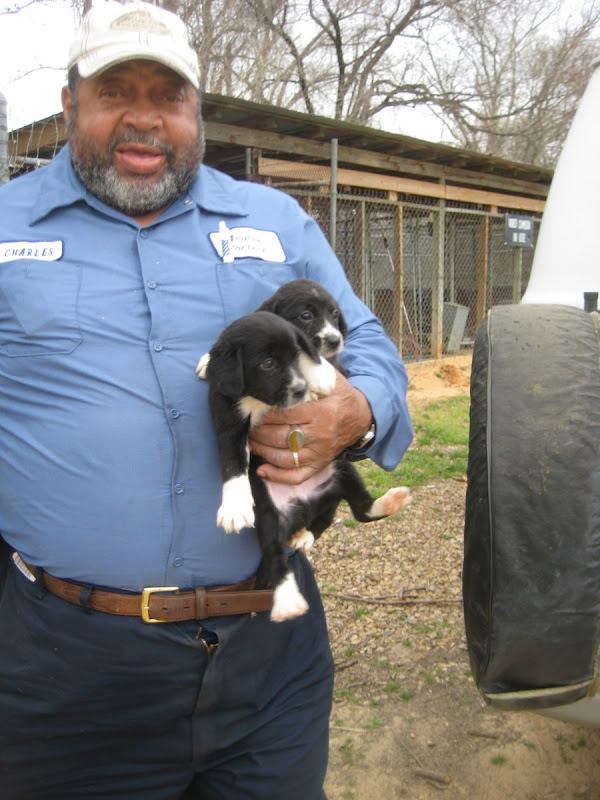Hope Animal Sanctuary Winona, MS Pound Rescue